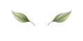 leaf-title-top-01