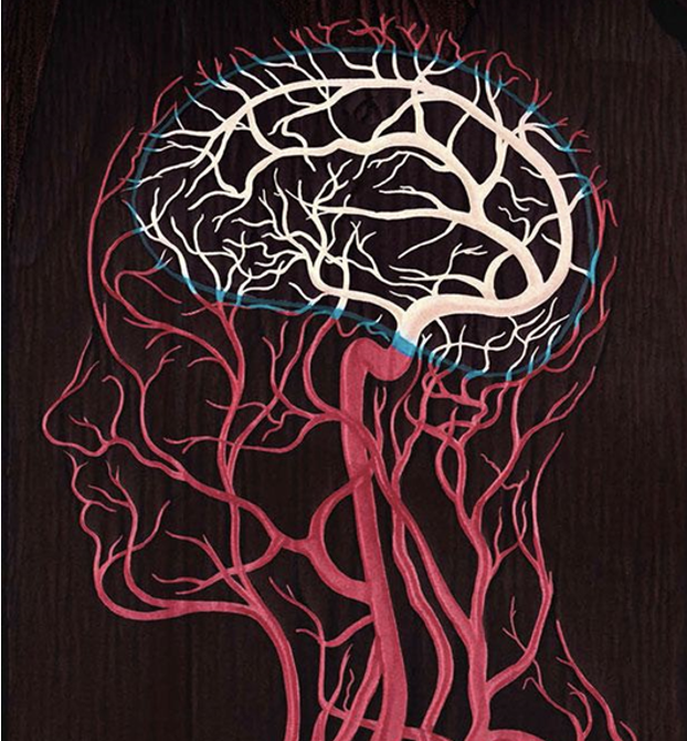 Microglia and blood–brain barrier illustration
