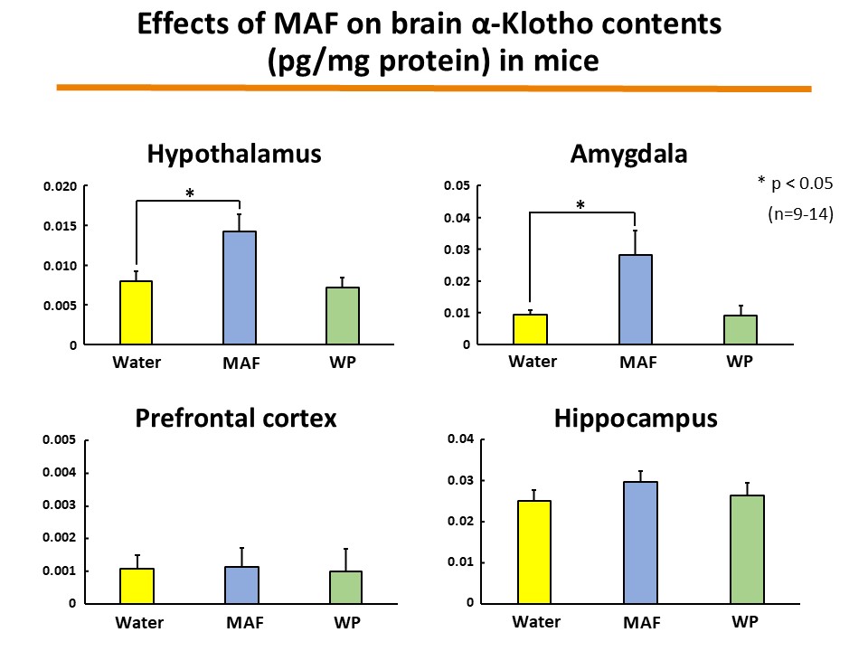 α-Klotho figure 03