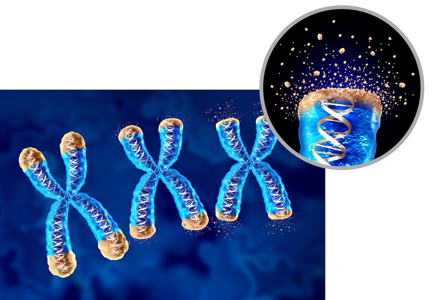 Aging process diagram